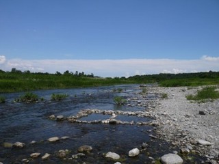 かわせみ河原