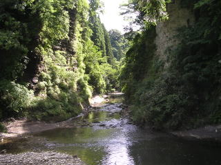 DSCN34721.jpg