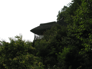 筑波山梅林
